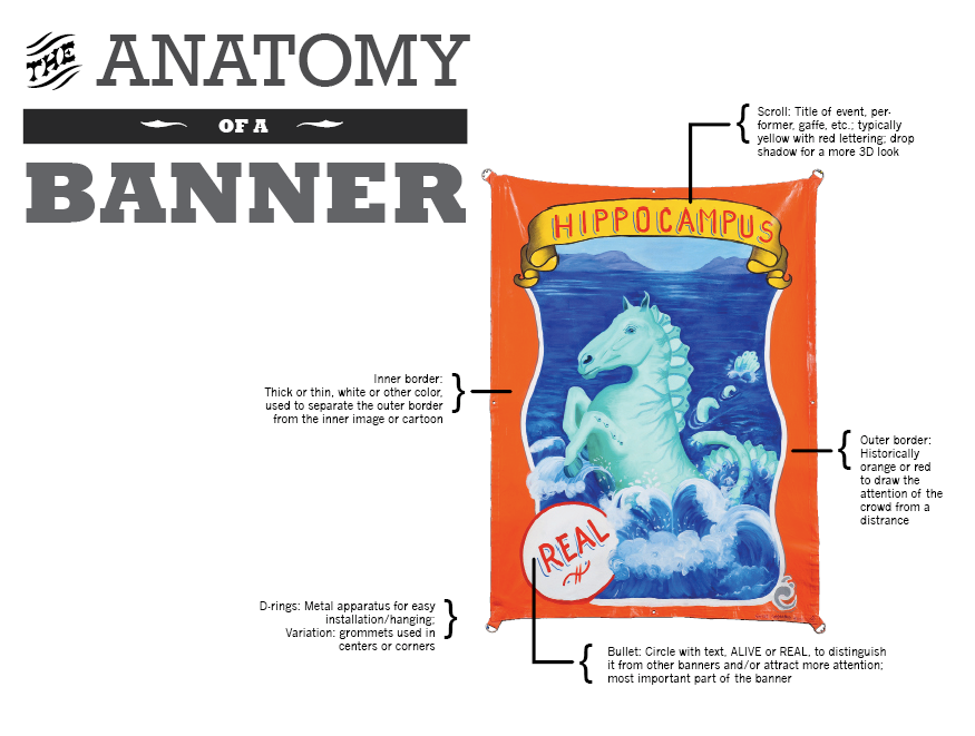 anatomy of a banner